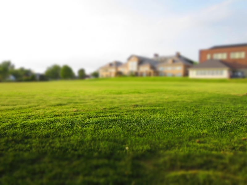 Neighborhood Greening